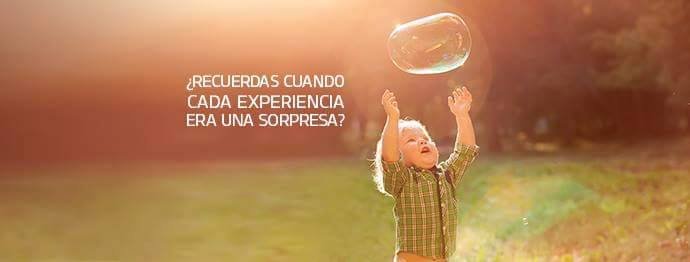 Organizamos tu evento